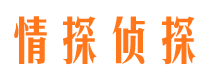 桐乡侦探公司